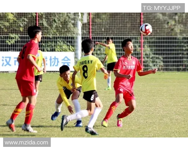 安徽足球俱乐部奋力拼搏助力地方足球发展与青训体系建设 安徽足球俱乐部奋力拼搏助力地方足球发展与青训体系建设