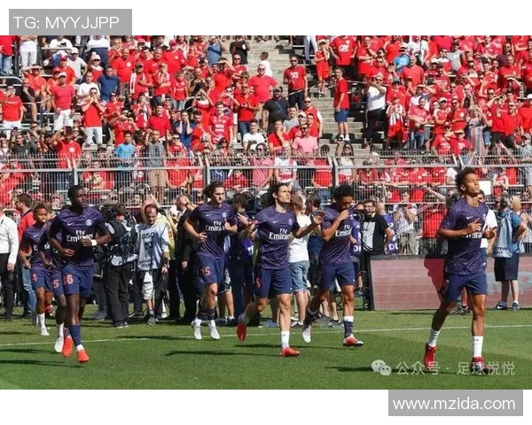 足球14场赛事深度分析与推荐策略助你赢取投注成功