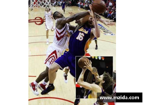 NBA狂热粉丝眼中的完美赛季：球队、球员与胜利的共鸣