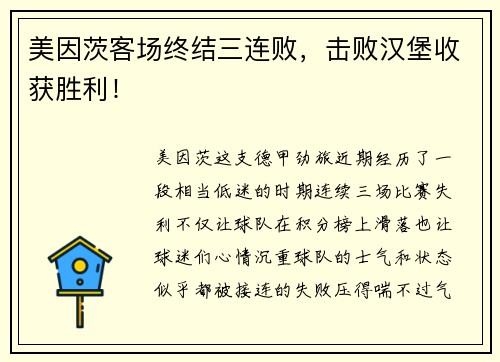 美因茨客场终结三连败，击败汉堡收获胜利！