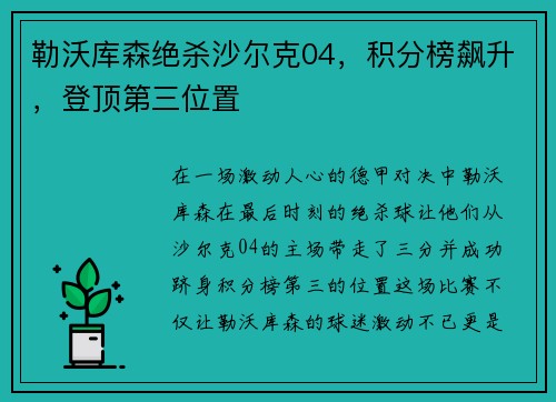 勒沃库森绝杀沙尔克04，积分榜飙升，登顶第三位置