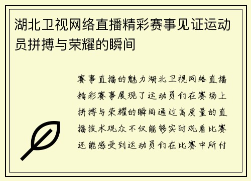 湖北卫视网络直播精彩赛事见证运动员拼搏与荣耀的瞬间